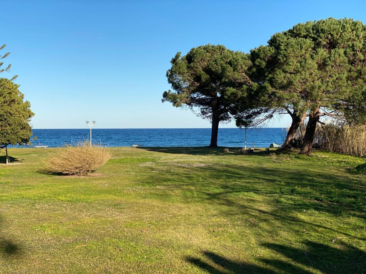Residence Santa Lucia, Studio Avec Piscine , Vue Mer Et Pied Dans L'Eau , Moriani-Plage 外观 照片